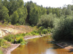 Dinkel in het Lutterzand